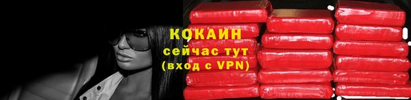 индика Алексеевка