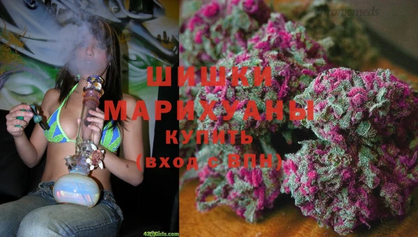 индика Алексеевка